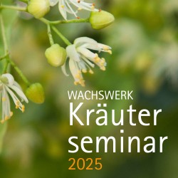 Kräuterseminar "Kräuterzeit...