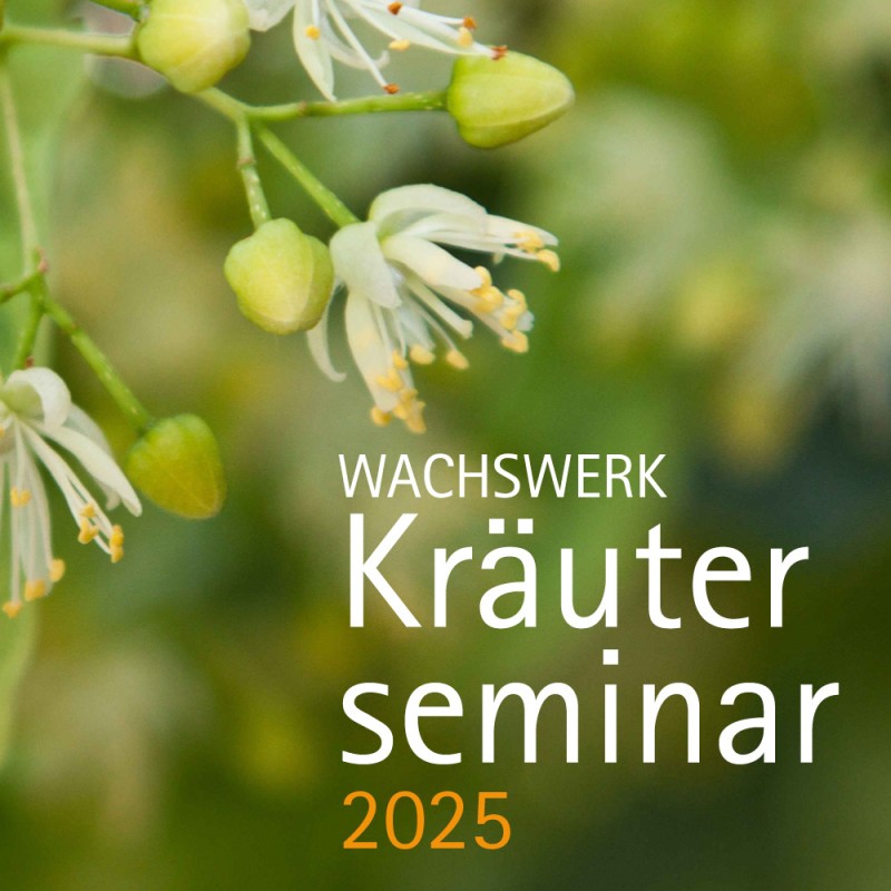 Kräuterseminar "Kräuterzeit – was hat wann Saison?", 26.03.2025